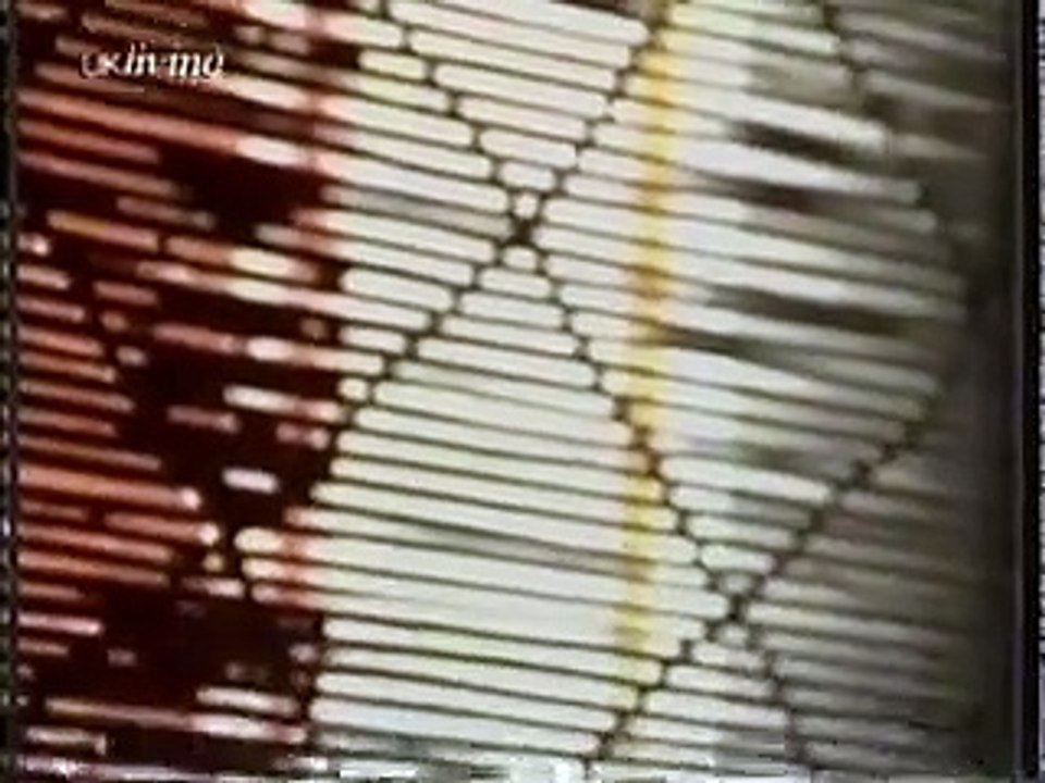 Brookside 1985-07-29