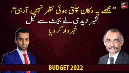 "I don't see this shop running", Shabbar Zaidi warns before the budget