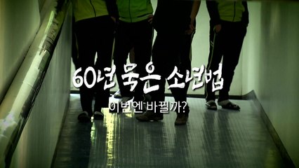 [영상] 법무부 "촉법소년 기준 연령 하향 검토"...가능할까? / YTN