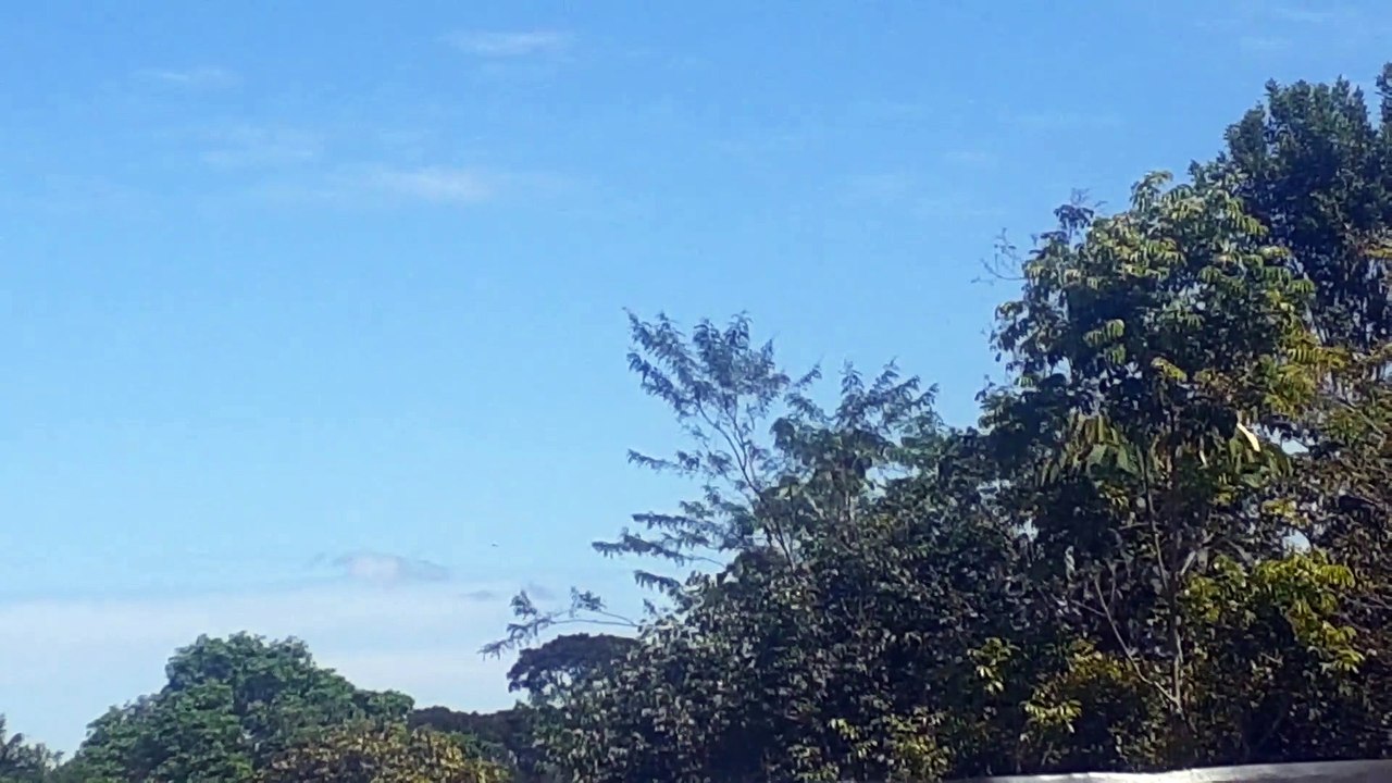 Airbus A330 PR-AIW vindo de Campinas para Manaus