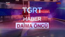 Dünyanın En Küçük İneği Queen - TGRT Haber