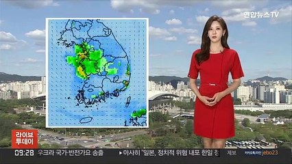 [날씨] 다시 한낮 30도 더위…내륙 요란한 소나기