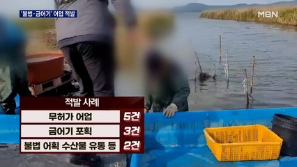 '불법·금어기' 어업 무더기 적발…몰랐어도 처벌
