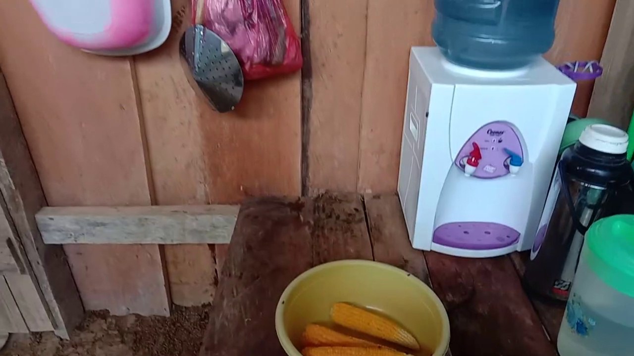 Viral  Makan Jagung Manis Di Kampung Klasilik, Kabupaten Sorong
