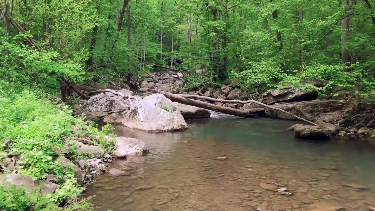 20 Minute Deep Sleep Music-Calming Beautiful Relaxing Music | listen every night to sleep better