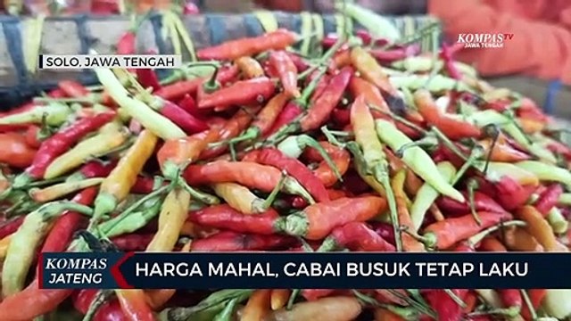 Harga Mahal, Cabai Busuk Tetap Laku
