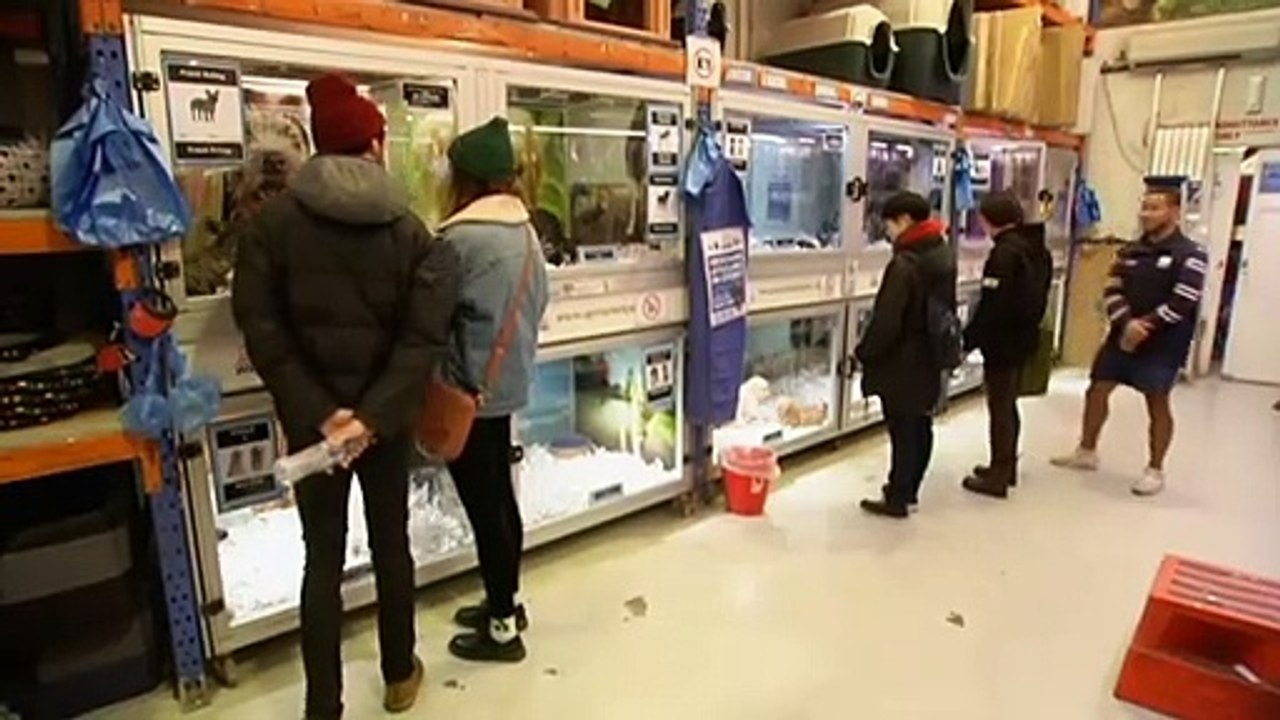 Surging pet ownership putting pressure on food supplies