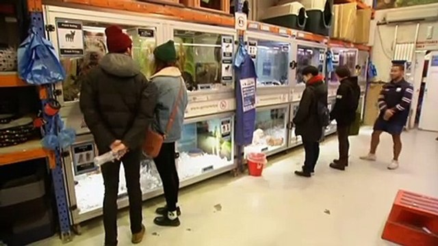 Surging pet ownership putting pressure on food supplies