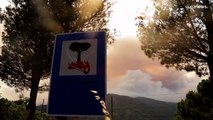 Estabilizado el incendio tras arrasar más de dos mil hectáreas de bosque en Málaga