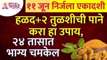 निर्जला एकादशीला हळद आणि तुळशीच्या दोन पानांचा उपाय केल्यावर काय होईल? Nirjala Ekadashi 2022