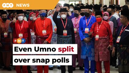 Even Umno split over snap polls, PH men tell Zahid
