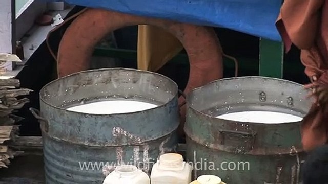 Man driving ferry on river Brahmaputra