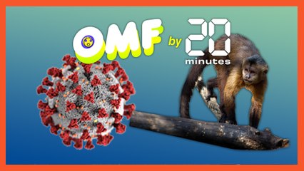 Existe-t-il un lien entre la variole du singe et le Covid-19 comme certains le suggèrent ?