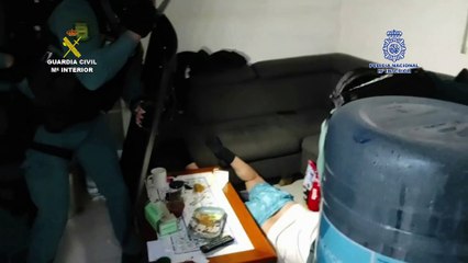 Naves llenas de marihuana y furgones para distribuirla por Europa: así operaba una red criminal desde Alicante-