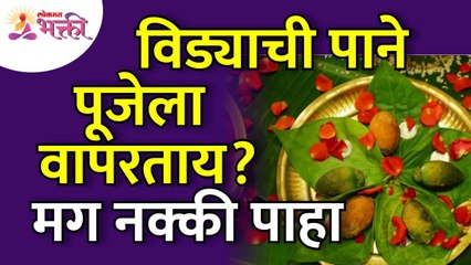 विड्याची पाने तुम्ही पूजेला वापरत आहात का? Are you using Vidyachi Paane for worship? Lokmat Bhakti