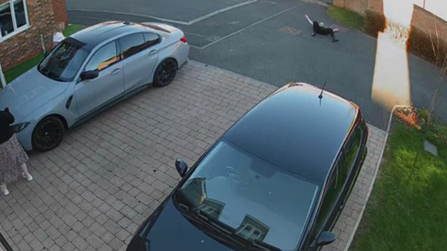 'Tipsy woman finds gravity stronger than usual *Funny Fall* '