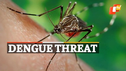 Dengue Cases Rise In Bhubaneswar: What Mayor Said On BMC’s Preparedness To Tackle It