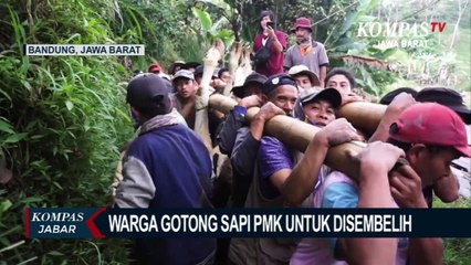 2.658 Ekor Sapi di Kab. Bandung Terjangkit PMK
