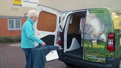 Volunteering with Cats Protection