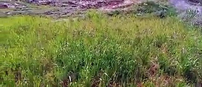 Ait bou Ali tidili massfioua Marrakech Maroc