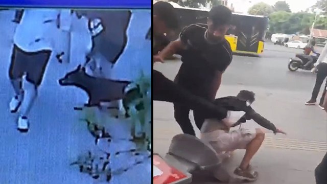 Fatih’te köpeğe eziyet eden kişiye linç girişimi
