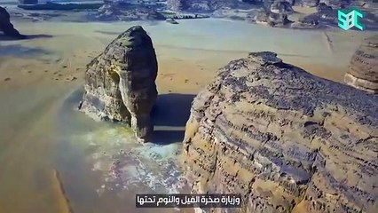 Download Video: وافدون للسياحة بالسعودية يروون تجاربهم مع مقاصد المملكة