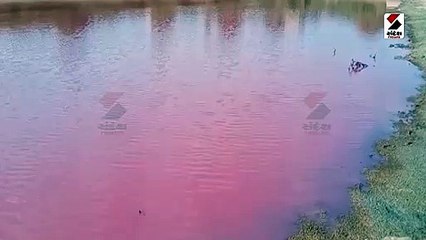 ગુજરાતના આ તળાવના પાણીનો કલર બદલાયો