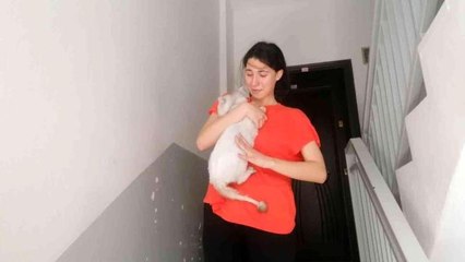 Lise öğrencisi, kedisi Duman'a kavuşunca sevinçten gözyaşlarına boğuldu