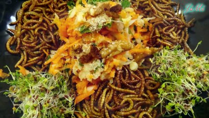 Sâu Gạo Và Những Điều Bạn Chưa Biết