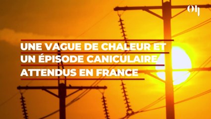 Une vague de chaleur et un épisode caniculaire attendue dans les prochains jours en France