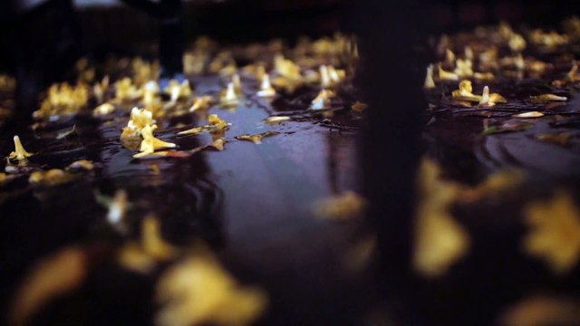 Rain Sounds with Thunder and Music for Meditation, Relaxation, Sleep, with Soothing Ambient images.