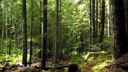 Relaxing Piano Music For Stress Relief and Sleep (No Copyright) (ANLOZ Music) #4