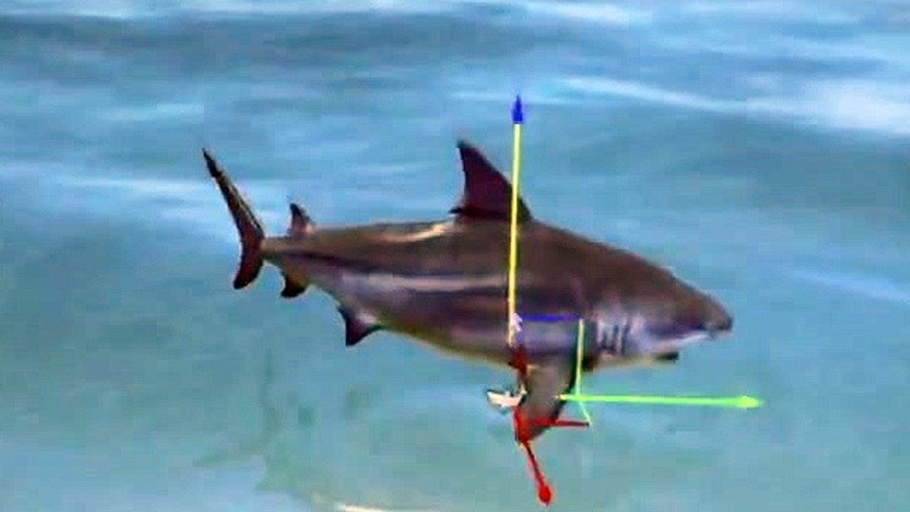 Far Cry 3 - Trailer zum Map-Editor und dem »Community Mapping Event«