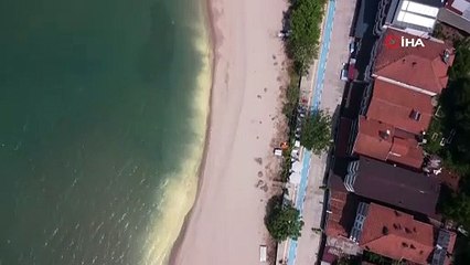 Karadeniz’deki renk değişimi ‘Polen’ kaynaklı