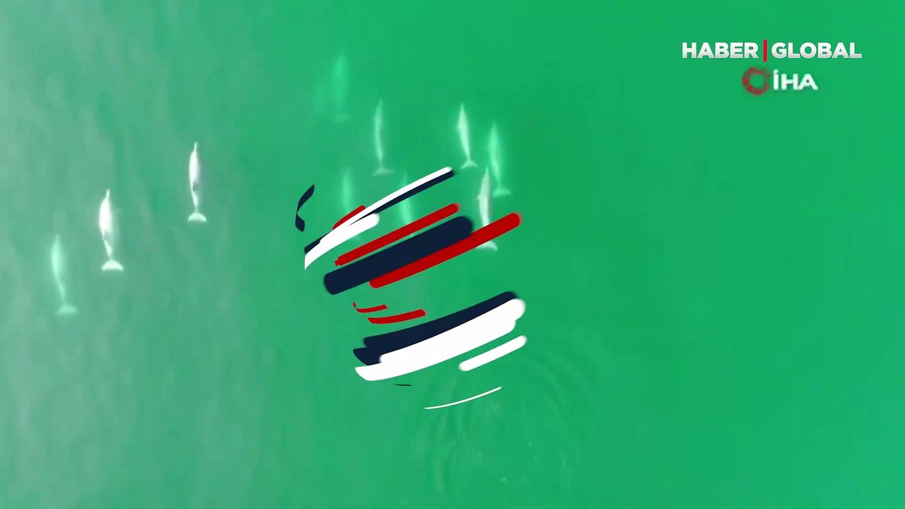 Çin kıyılarında ender rastlanan beyaz yunuslar görüldü