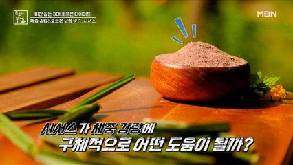 [실험] 시서스의 체중 감량 효과는?