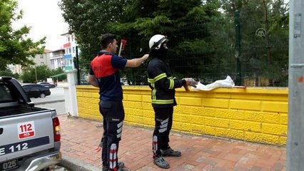Okulun bahçesindeki yılanı itfaiye ekipleri yakaladı