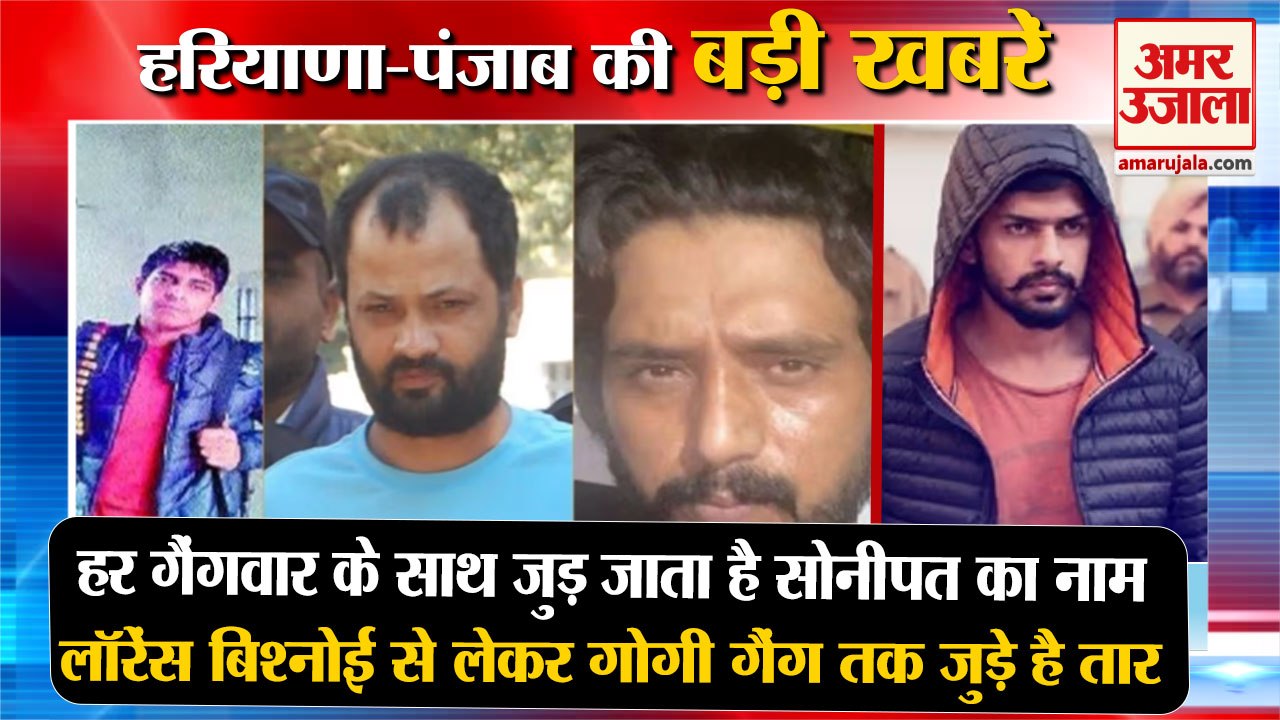 Name Of Sonipat Gets Associated With Every Gang War|हर गैंगवार से जुड़ा सोनीपत समेत हरियाणा की खबरें