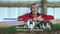 Cinq petits aigles de Bonelli, une espèce menacée, sont nés en captivité en Vendée