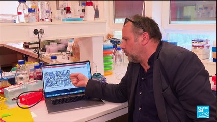 Cancer du rectum: La totalité des patients d'un essai clinique en rémission