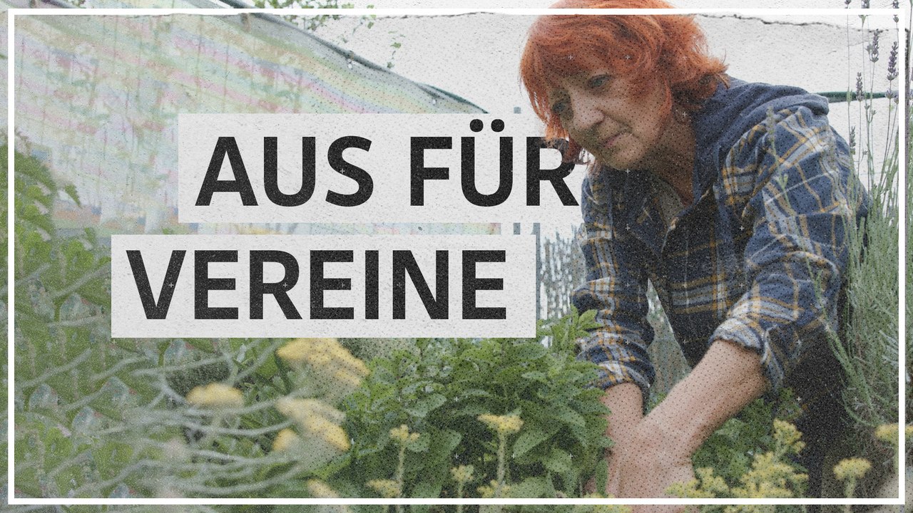 Zwischennutzung in Neu Marx: „Vielleicht geschieht ein Wunder“