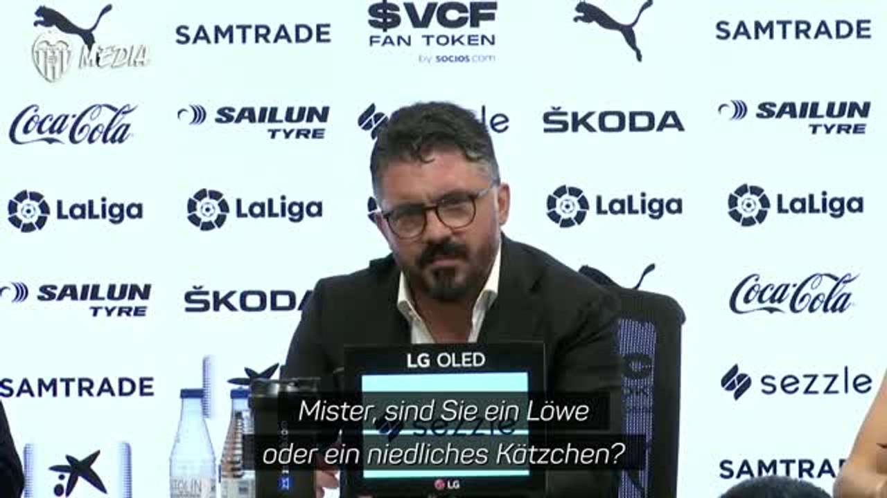 Löwe oder Kätzchen? Gattuso läuft bei PK heiß