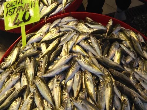 Trabzonlu Balıkçı: Durumu Olmayan Vatandaş Ne Alacak?