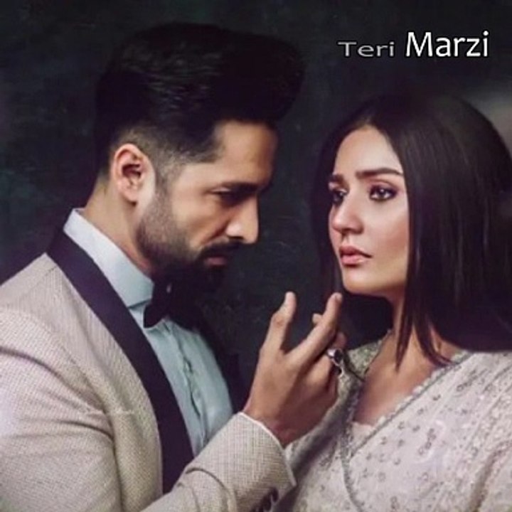 Teri Marzi - Kaisi Teri Khudgarzi - WhatsApp Status - ( Geo Tv ) - AR Lyricals - (2022)