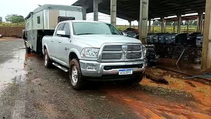 Parte dos veículos apreendidos pela PF na Operação Capital