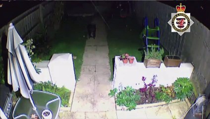 The start of a parking row that ended in a husband and wife being stabbed to death