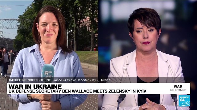 Ukraine hails British leadership as UK defence minister visits Kyiv