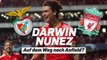 Supertalent Darwin Nunez: Auf dem Weg nach Anfield?