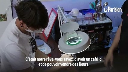 « C'est comme un rêve devenu réalité » : la Thaïlande dépénalise le cannabis