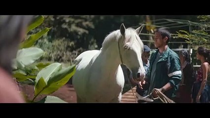 Clara Sola Trailer #1 (2022) Wendy Chinchilla, Daniel Castaneda Drama Movie HD